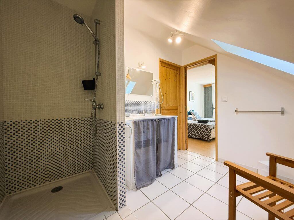 lo-saunei-maison_d_hote_valle_ossau_64_chambre_aquamarine_sdb