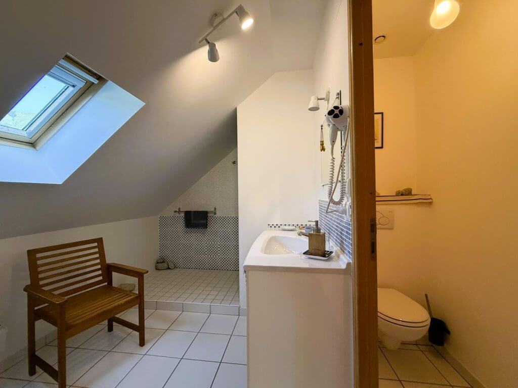 lo-saunei-maison_d_hote_valle_ossau_64_chambre_aquamarine_sdb2